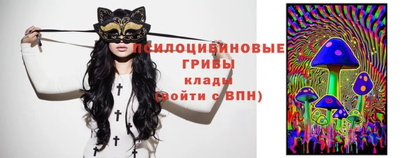 мдма Коряжма
