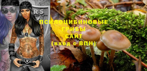 мдма Коряжма