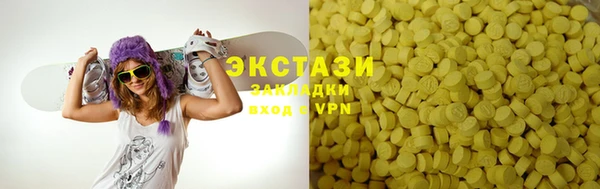 гашик Краснослободск