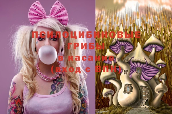 мдпв Костерёво