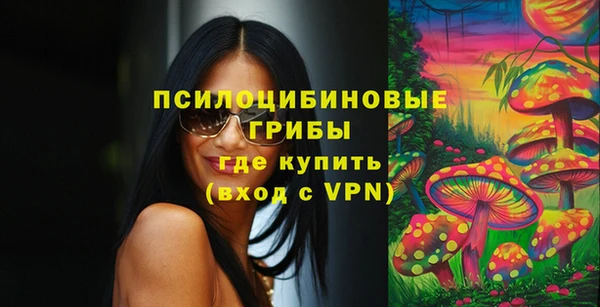 тгк Корсаков