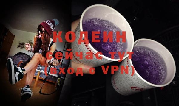 мдпв Костерёво