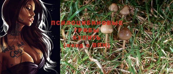 мдма Коряжма