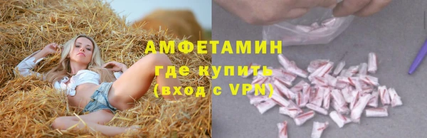 мдпв Костерёво