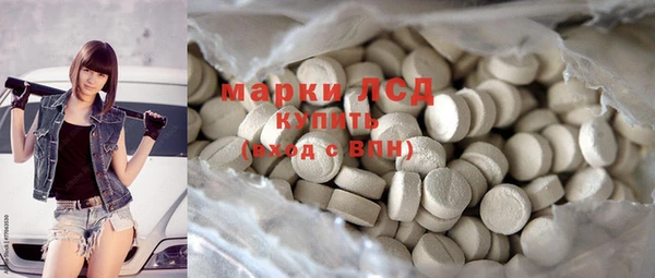 гашик Краснослободск