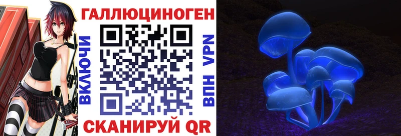 Купить  Лихославль  Псилоцибиновые грибы Cubensis 