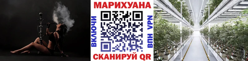 Купить где  Лихославль  Каннабис индика 